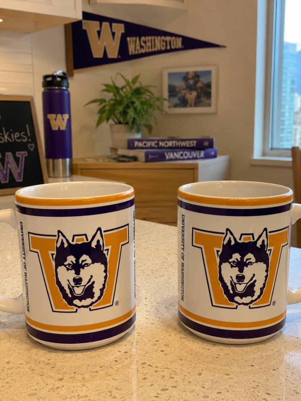 University of Washington Huskies Coffee Mug Set of 2 Large Ceramic Cups UW